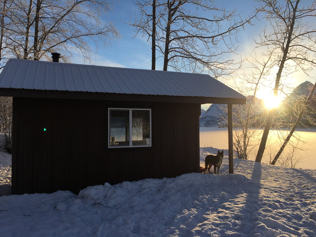 Eklutna Winter Camping