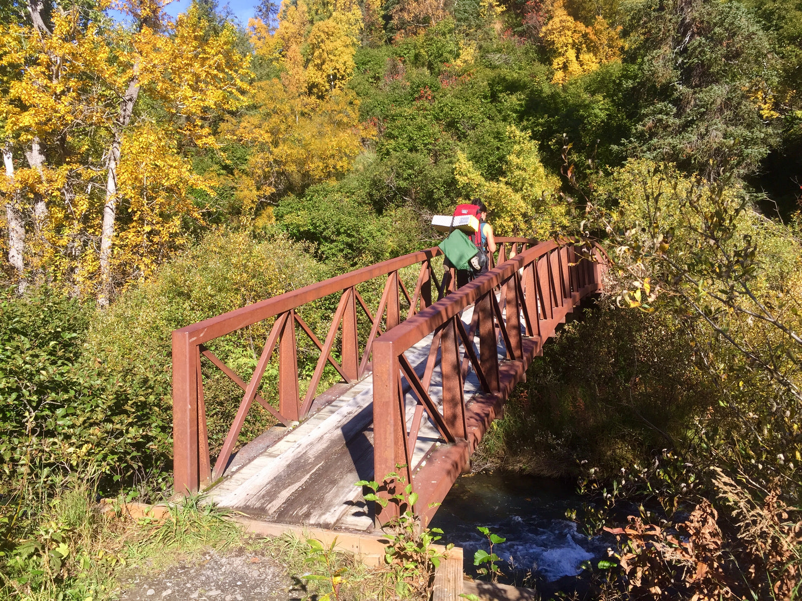 Fall Foliage Extravaganza!