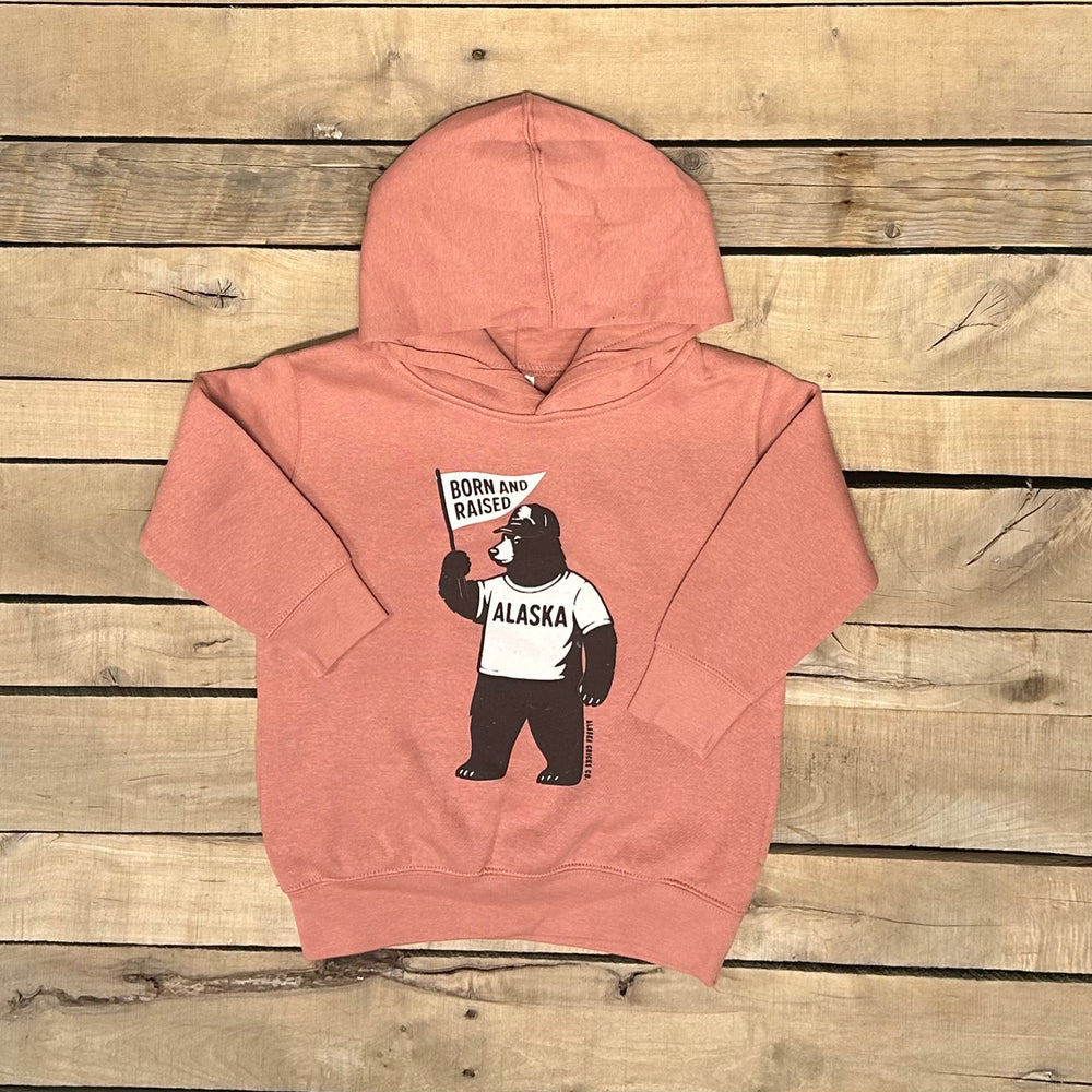 Kid's Alaska Born and Raised Hoodie